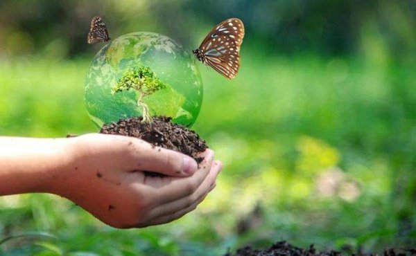 Comment préserver la biodiversité en France ?